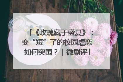 《玫瑰藏于盛夏》：变“短”了的校园虐恋如何突围？｜微剧评