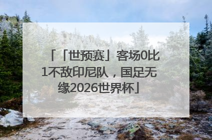 「世预赛」客场0比1不敌印尼队，国足无缘2026世界杯