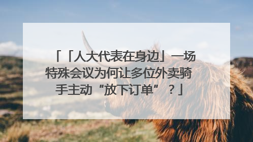 「人大代表在身边」一场特殊会议为何让多位外卖骑手主动“放下订单”？