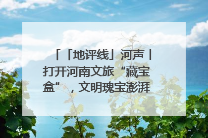 「地评线」河声丨打开河南文旅“藏宝盒”，文明瑰宝澎湃发展“豫动能”