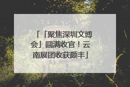 「聚焦深圳文博会」圆满收官！云南展团收获颇丰