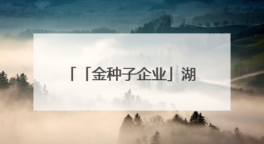 「金种子企业」湖北省委书记、省人大常委会主任王忠林一行到依瑞德调研