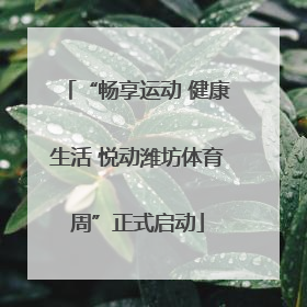 “畅享运动 健康生活 悦动潍坊体育周”正式启动