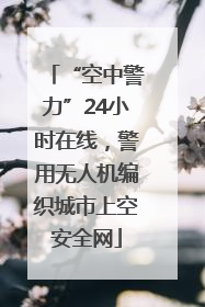 “空中警力”24小时在线，警用无人机编织城市上空安全网