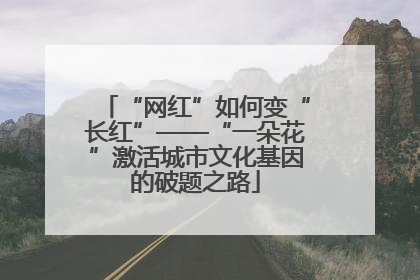 “网红”如何变“长红”——“一朵花”激活城市文化基因的破题之路