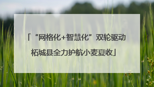 “网格化+智慧化”双轮驱动 柘城县全力护航小麦夏收