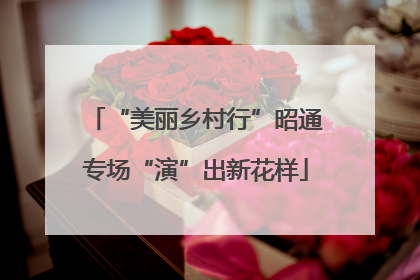 “美丽乡村行”昭通专场“演”出新花样