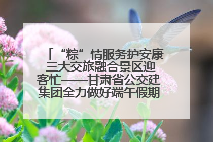 “粽”情服务护安康 三大交旅融合景区迎客忙——甘肃省公交建集团全力做好端午假期景区运营工作