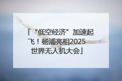 “低空经济”加速起飞！杨浦亮相2025世界无人机大会