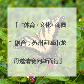 “体育+文化+商圈”融合，苏州河城市龙舟邀请赛向新而行