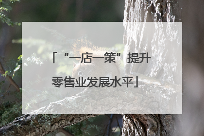“一店一策”提升零售业发展水平