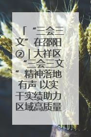 “三会三文”在邵阳②｜大祥区“三会三文”精神落地有声 以实干实绩助力区域高质量发展