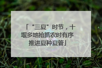 “三夏”时节，十堰多地抢抓农时有序推进夏种夏管