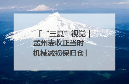 “三夏”视觉｜孟州麦收正当时 机械减损保归仓