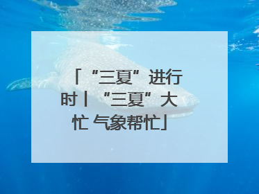 “三夏”进行时丨“三夏”大忙 气象帮忙