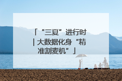“三夏”进行时｜大数据化身“精准割麦机”