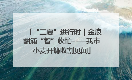 “三夏”进行时｜金浪翻涌“智”收忙——我市小麦开镰收割见闻