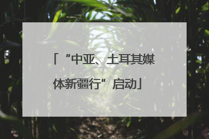 “中亚、土耳其媒体新疆行”启动