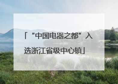 “中国电器之都”入选浙江省级中心镇
