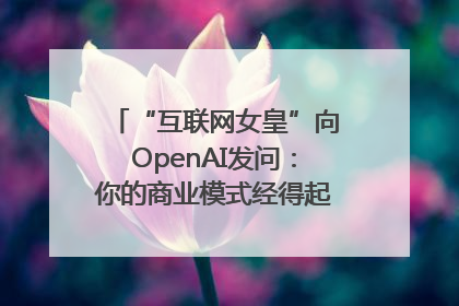 “互联网女皇”向OpenAI发问：你的商业模式经得起价格战考验么？