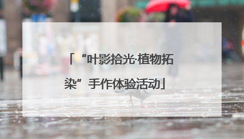 “叶影拾光·植物拓染”手作体验活动