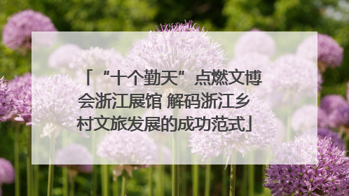 “十个勤天”点燃文博会浙江展馆 解码浙江乡村文旅发展的成功范式