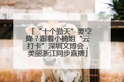 “十个勤天”要空降？跟着小楠姐“云打卡”深圳文博会，美丽浙江同步直播