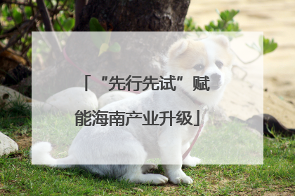 “先行先试”赋能海南产业升级
