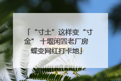 “寸土”这样变“寸金” 十堰闲置老厂房蝶变网红打卡地
