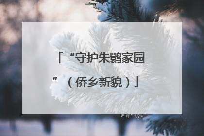 “守护朱鹮家园”（侨乡新貌）