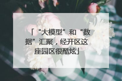 “大模型”和“数据”汇聚，经开区这座园区很酷炫