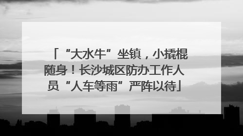 “大水牛”坐镇，小撬棍随身！长沙城区防办工作人员“人车等雨”严阵以待
