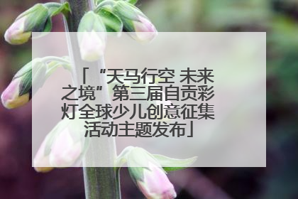 “天马行空 未来之境”第三届自贡彩灯全球少儿创意征集活动主题发布