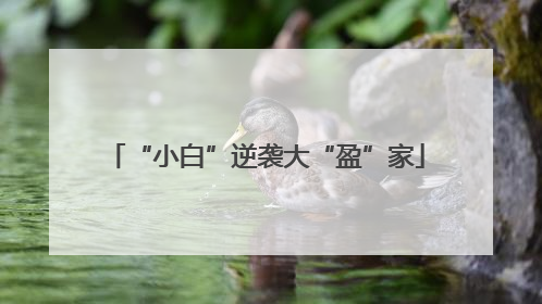 “小白”逆袭大“盈”家