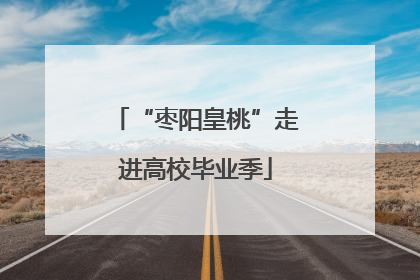 “枣阳皇桃”走进高校毕业季