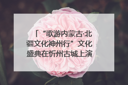 “歌游内蒙古·北疆文化神州行”文化盛典在忻州古城上演——蒙晋文化交融共谱文旅融合新篇