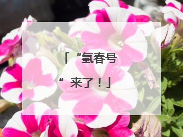 “氢春号”来了！