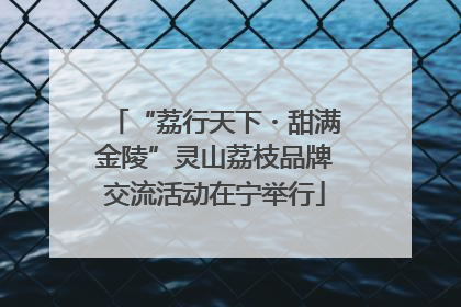 “荔行天下・甜满金陵”灵山荔枝品牌交流活动在宁举行