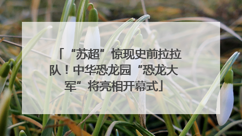 “苏超”惊现史前拉拉队！中华恐龙园“恐龙大军”将亮相开幕式