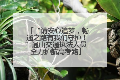 “请安心追梦，畅通之路有我们守护！”通山交通执法人员全力护航高考路