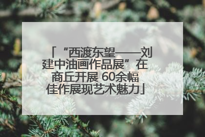 “西渡东望——刘建中油画作品展”在商丘开展 60余幅佳作展现艺术魅力