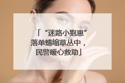 “迷路小狍崽”落单蜷缩草丛中，民警暖心救助