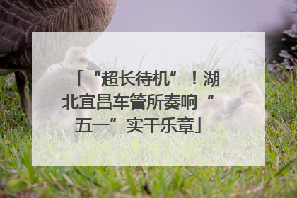 “超长待机”！湖北宜昌车管所奏响“五一”实干乐章