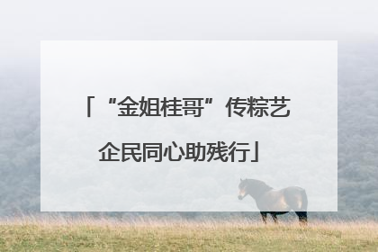 “金姐桂哥”传粽艺 企民同心助残行