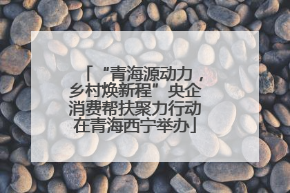 “青海源动力，乡村焕新程”央企消费帮扶聚力行动在青海西宁举办