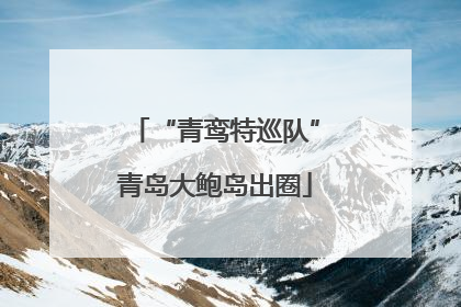 “青鸾特巡队”青岛大鲍岛出圈