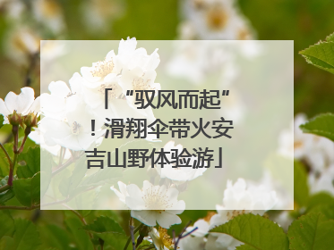 “驭风而起”！滑翔伞带火安吉山野体验游