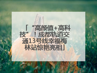 “高颜值+高科技”！成都轨道交通13号线幸福梅林站惊艳亮相