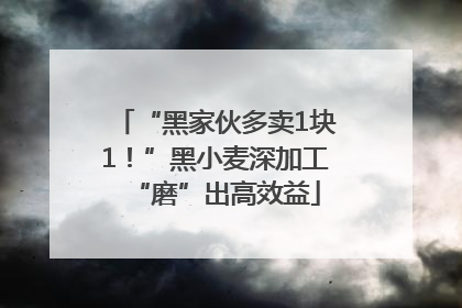 “黑家伙多卖1块1！”黑小麦深加工“磨”出高效益