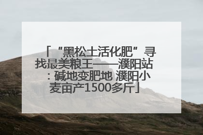 “黑松土活化肥”寻找最美粮王——濮阳站：碱地变肥地 濮阳小麦亩产1500多斤